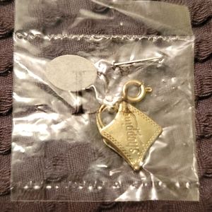 Diamond International Shopping Charm